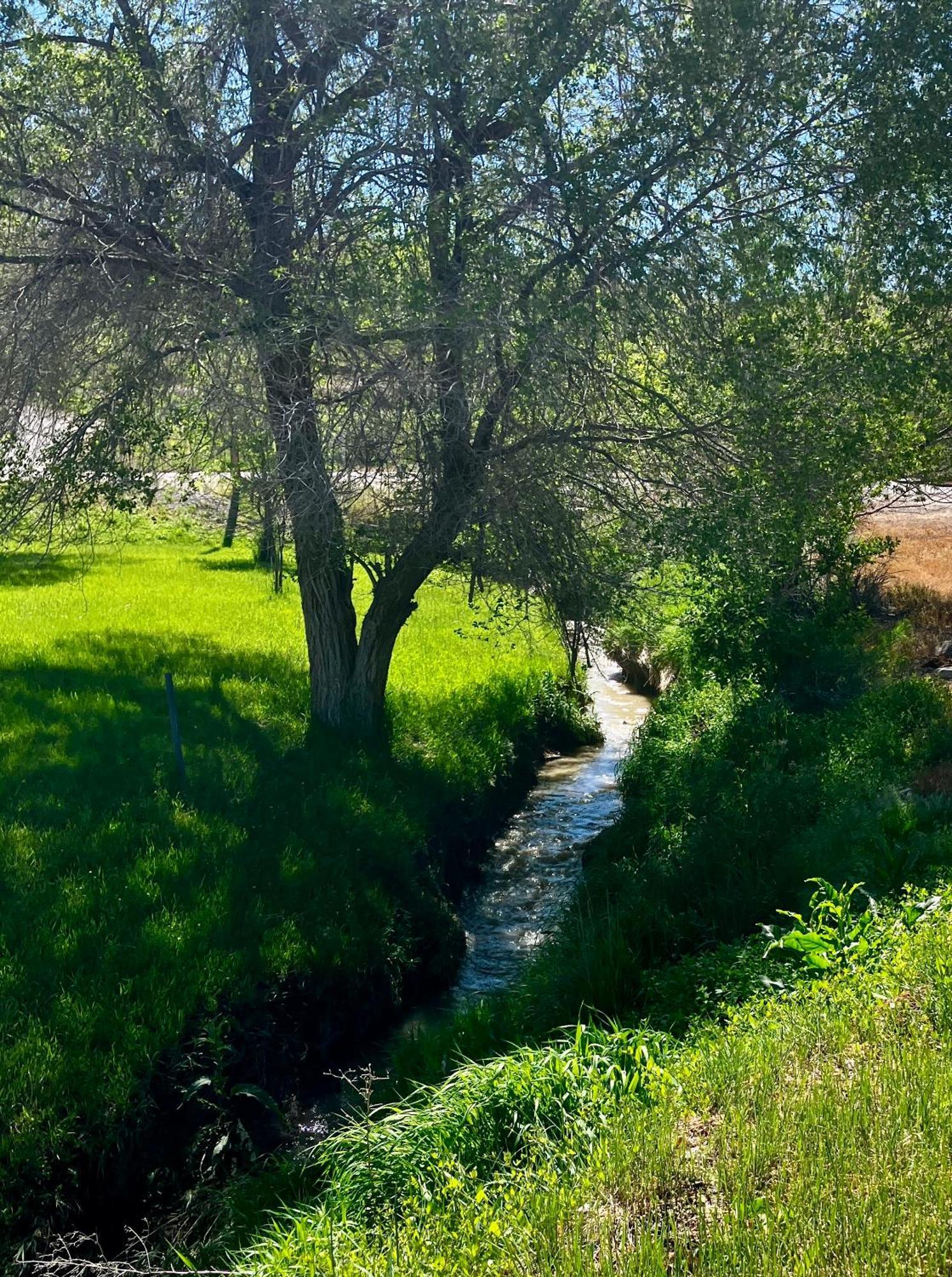 Let'S Go ! Fisherman, Families, Pools One Minute From Your Door, Comfort, Location Perfect, Amenity-Rich, Pup Friendly, Discover An Exceptional Wyoming Stay, Thermopolis River Walk Home At Hot Springs State Park, 'Where Families And Fisherman Stay' Ngoại thất bức ảnh
